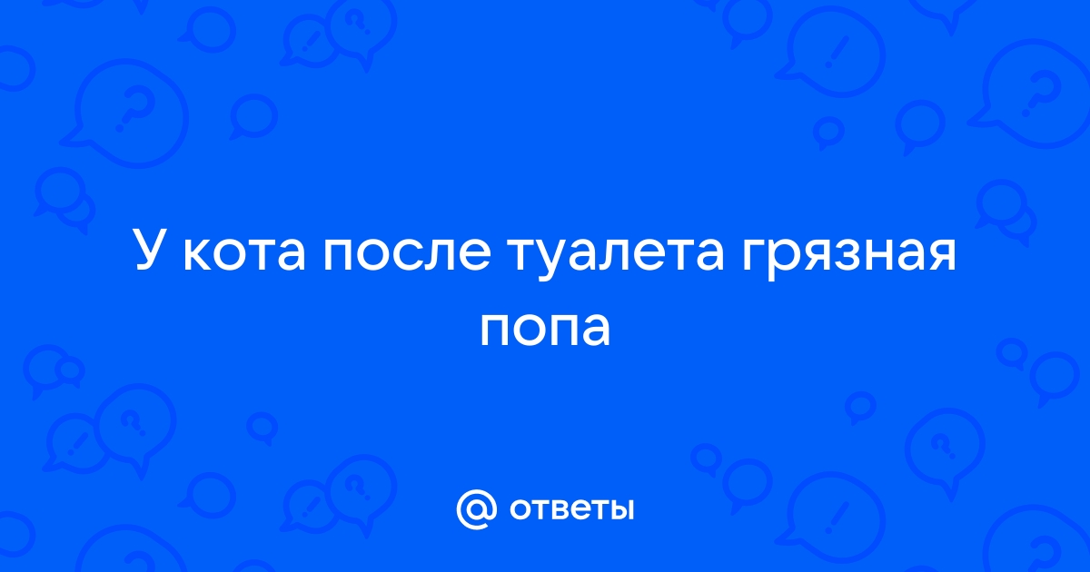 Чешется попа после стула