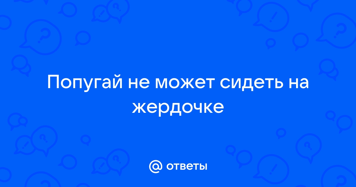 Как выбрать жердочку для волнистых попугаев