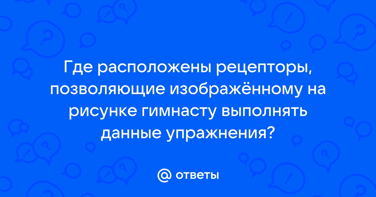 Где расположены рецепторы позволяющие изображенному на рисунке гимнасту выполнять данные упражнения