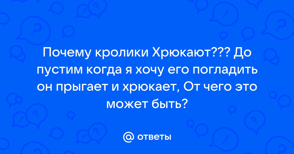 Храпит, свистит и хрюкает: что надо знать тем, кто хочет завести кролика - maloves.ru