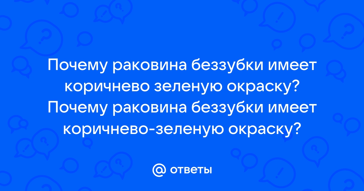 Почему раковина беззубка имеет такую окраску