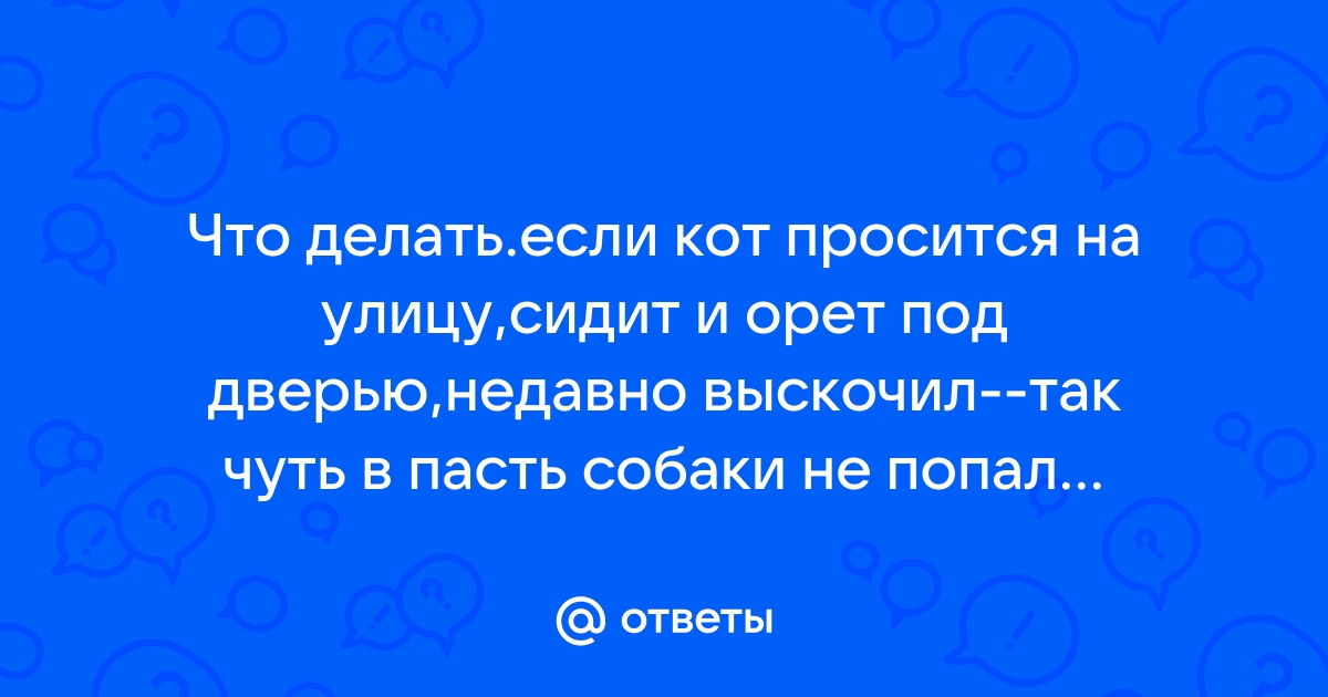 Куда обратиться за помощью, если нужно спасти животное