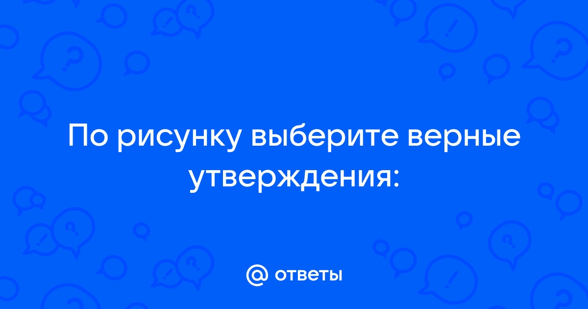 Выбери верные суждения вареный рис некрашеный пол