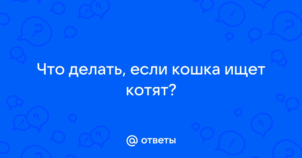 Ветеринарные вопросы из официальной группы Котонай вконтакте