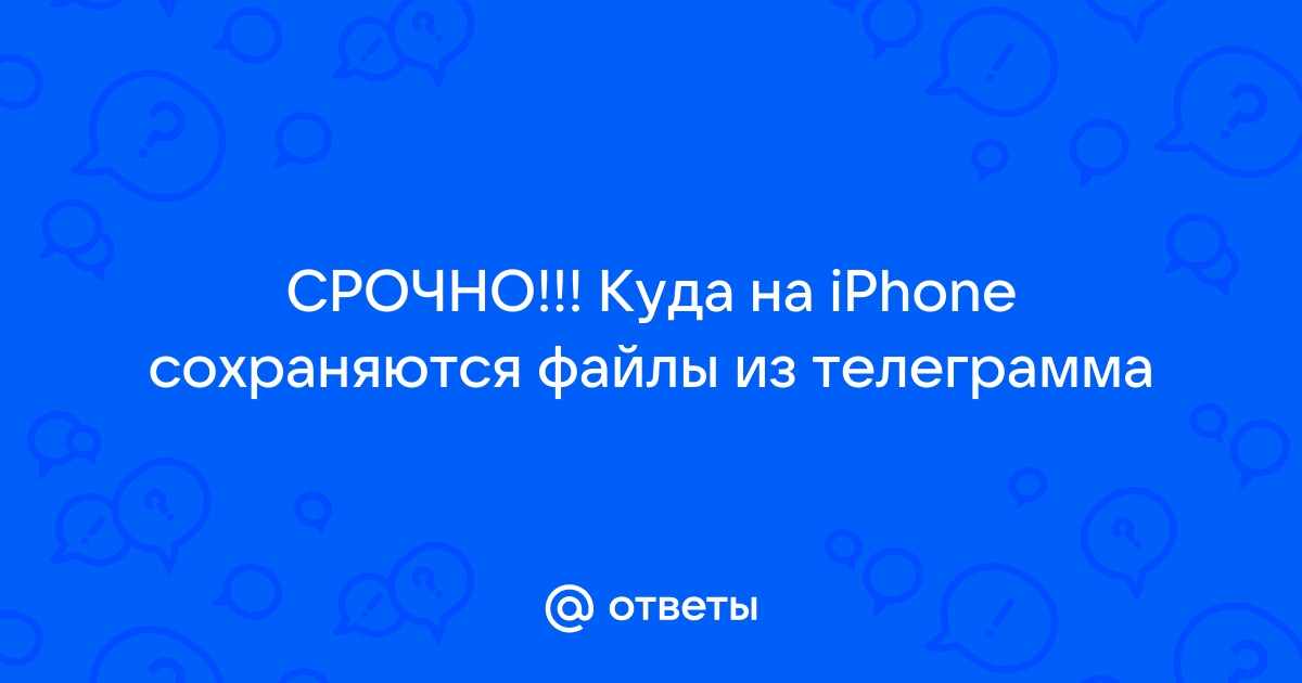 Куда сохраняются фото из телеграмма на андроид