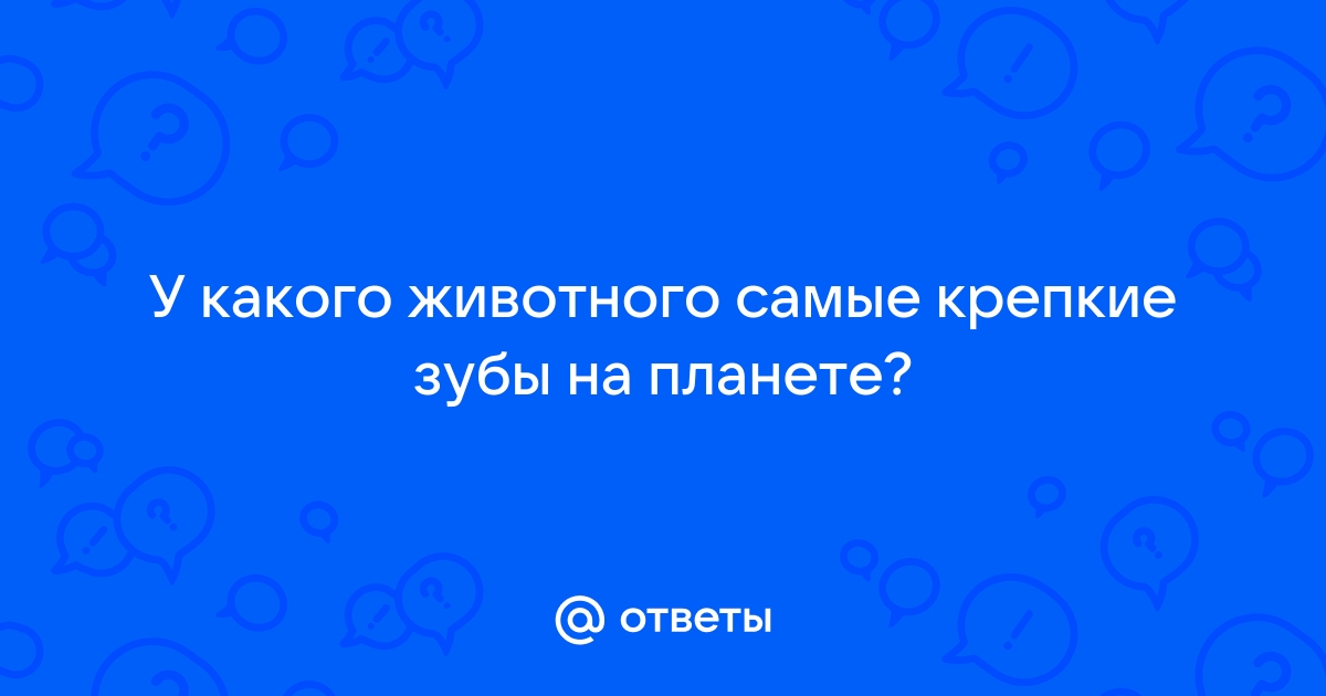 У кого в мире самые крепкие зубы?