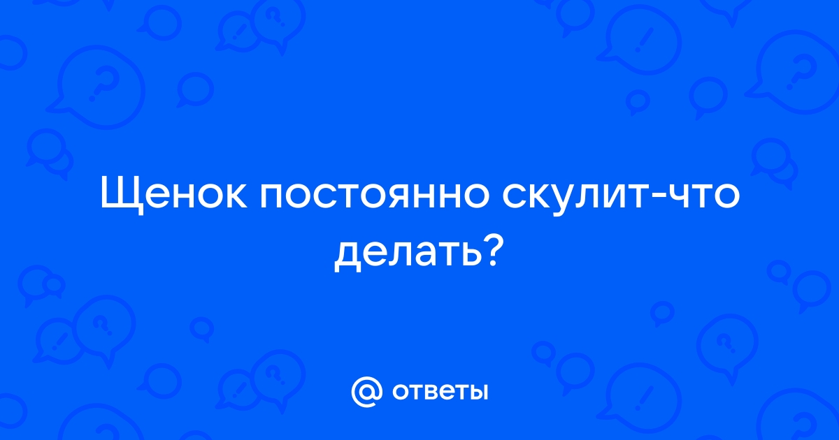 Как отучить маленького щенка скулить и лаять в одиночестве?