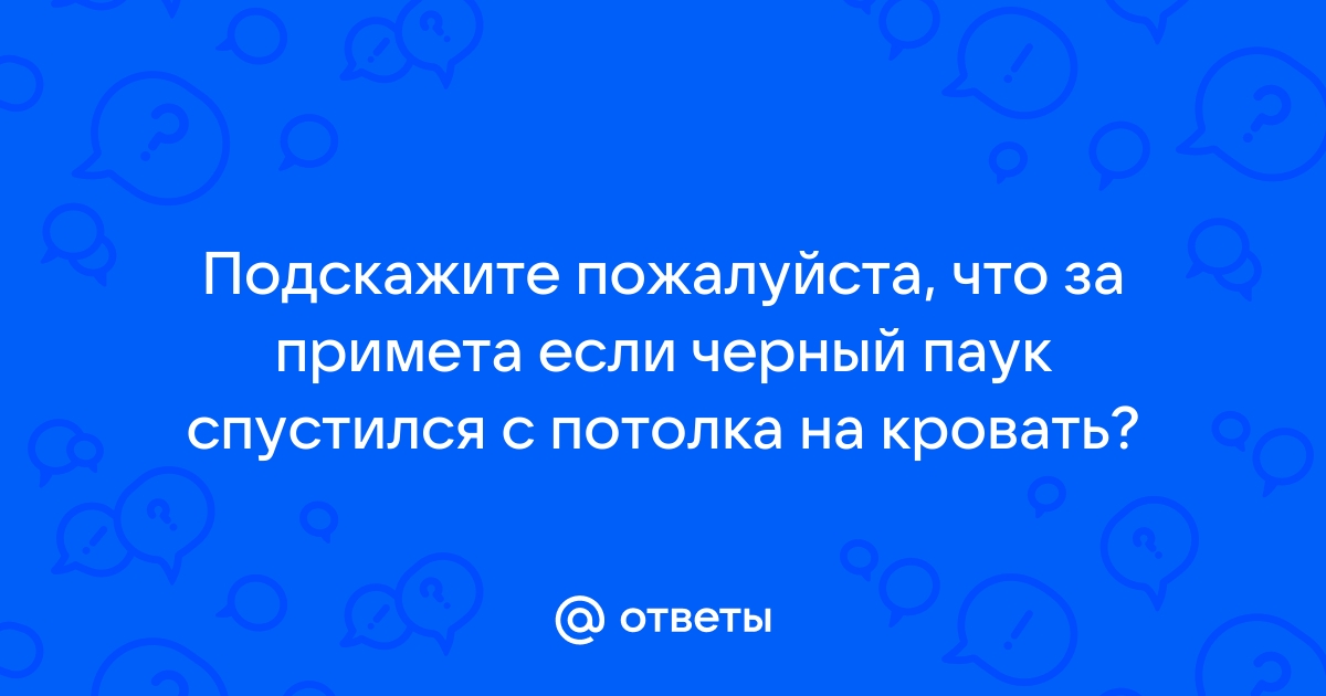 Паук спустился с потолка на кровать примета