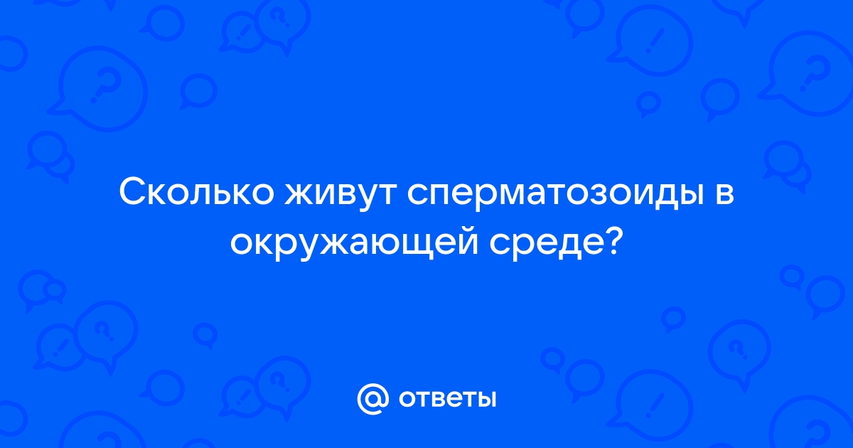 Ответы real-watch.ru: Сколько живут сперматозоиды во внешней среде?