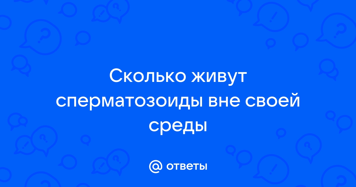 Сперма в ротовой полости, как долго могут сохраняться сперматозоиды