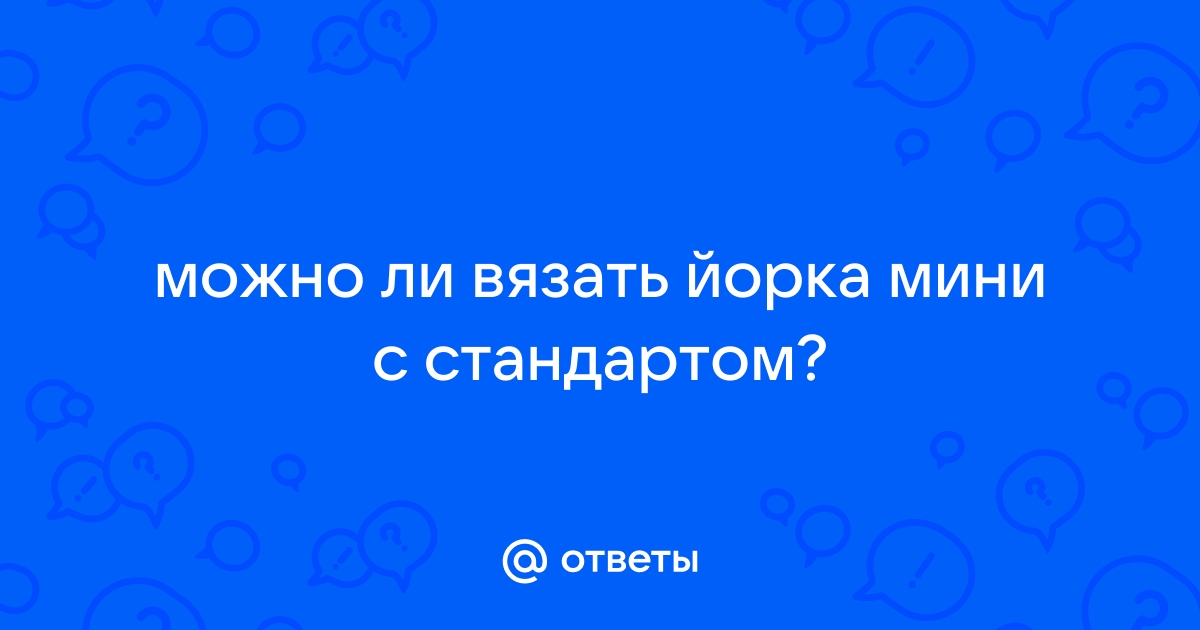 С какого возраста вязать йорка?