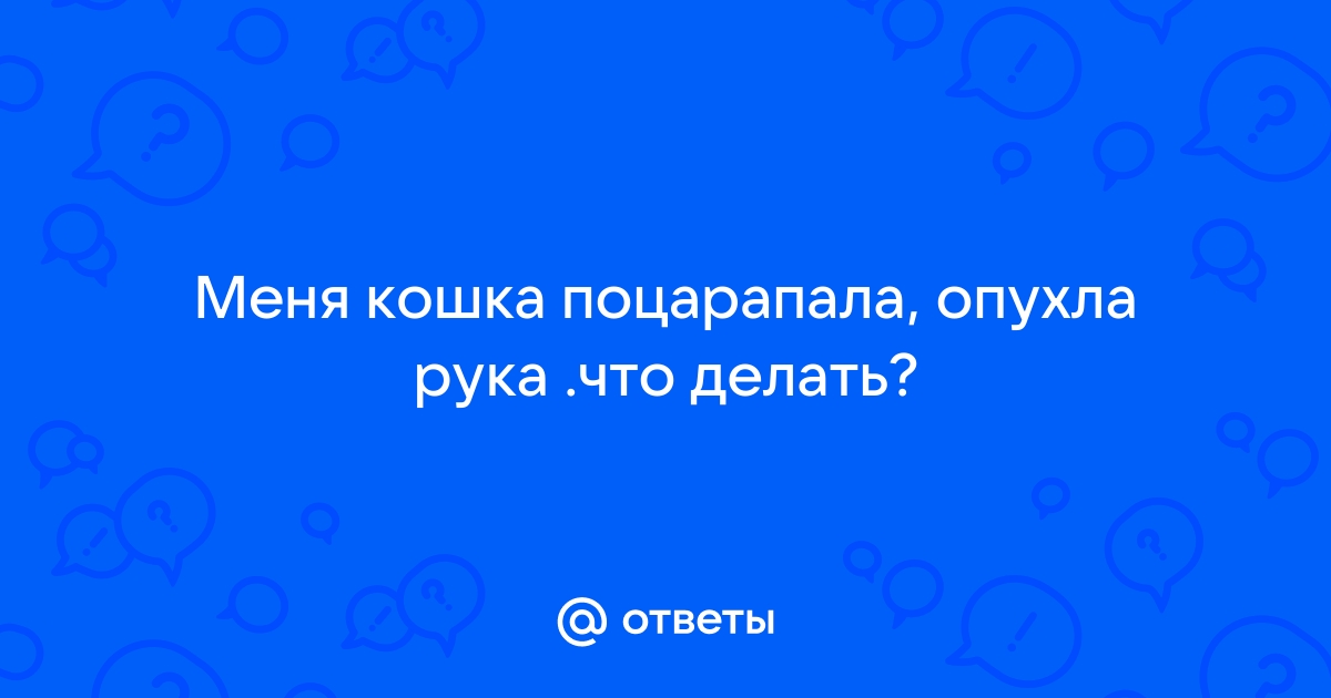 Опухла рука после укуса кошки - Хирургия - - Здоровье 5perspectives.ru