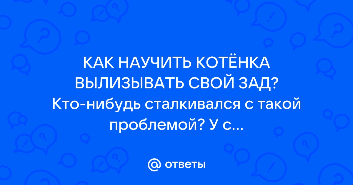 Научить кота вылизываться