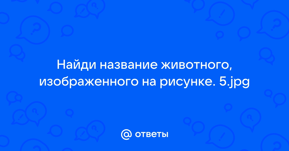 Определи название животного изображенного на рисунке