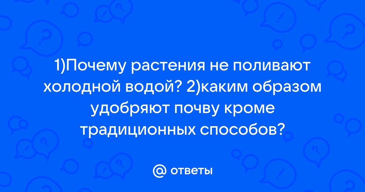 Останетесь без овощей и зелени: почему нельзя поливать огород холодной водой