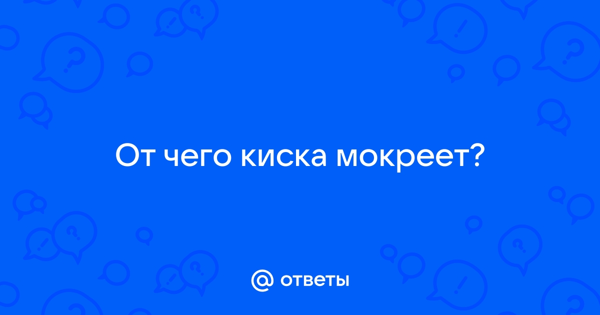 Порно видео потрогай мою киску