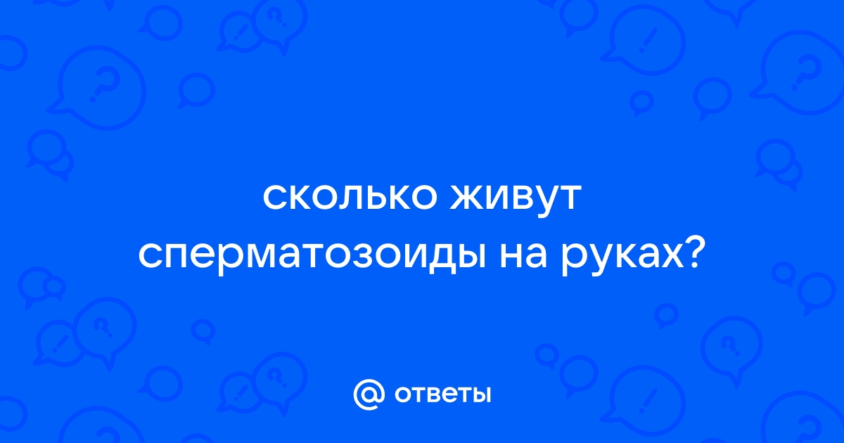 Продолжительность жизни сперматозоидов в половых путях