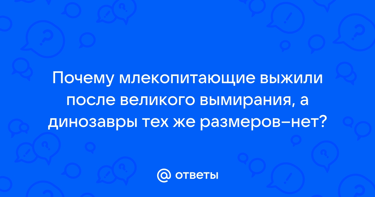 Для того чтобы лучше понять как выглядел и двигался тиранозавр художник применил метод компьютерного