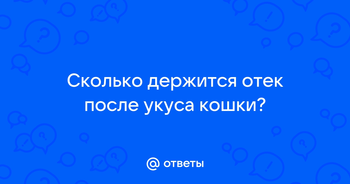 Укус кошки: что делать, чем лечить, какие признаки бешенства могут быть у человека