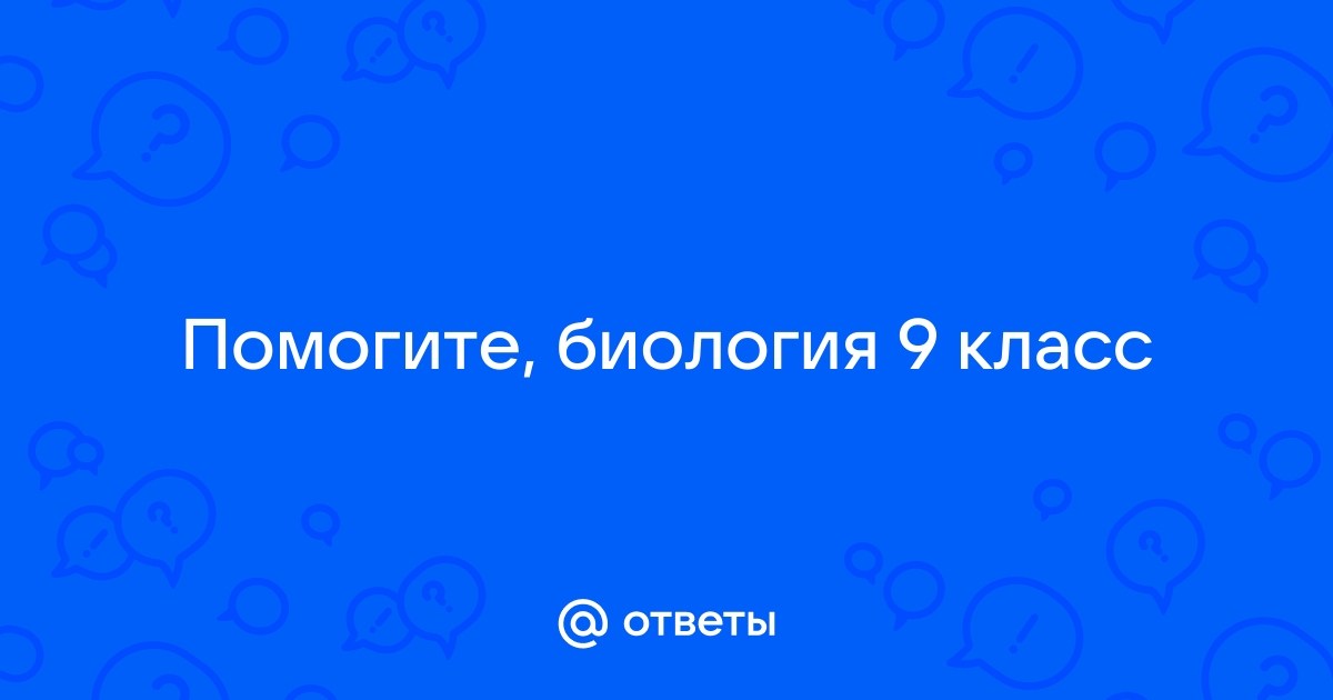 Константина ответы