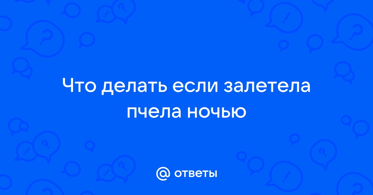 Что делать если оса залетела в квартиру и сидит на люстре