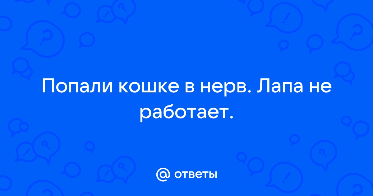 Анестезия. Что надо знать об уколах в стоматологии?