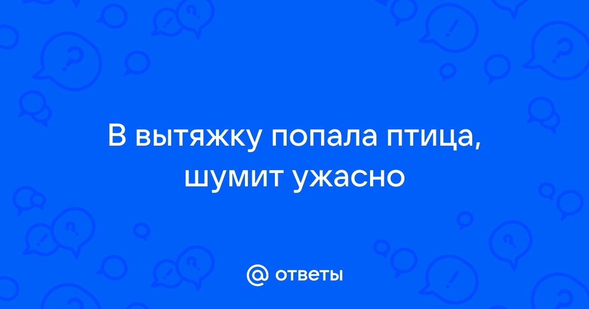 Птица попала в вытяжку на кухне