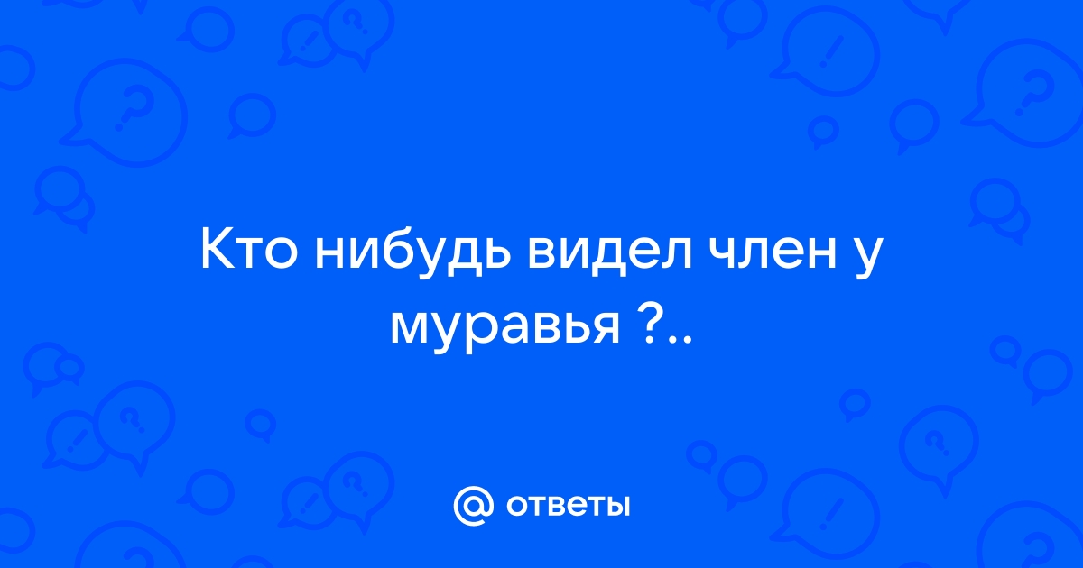 Мальчик увидел письку