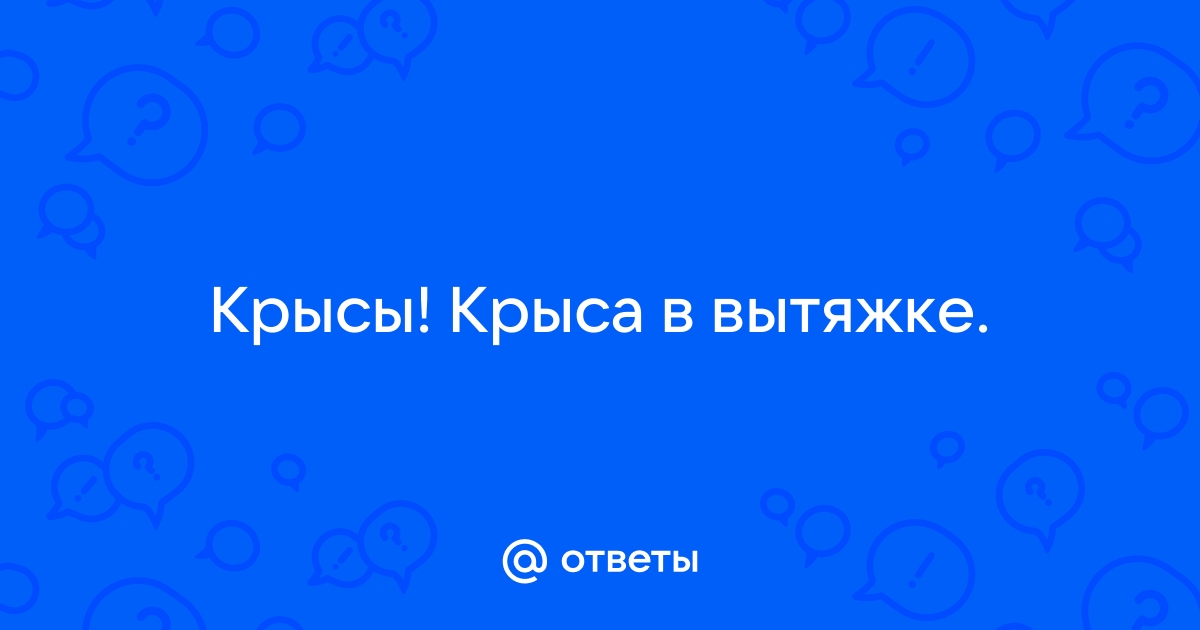 Крыса в вытяжке на кухне