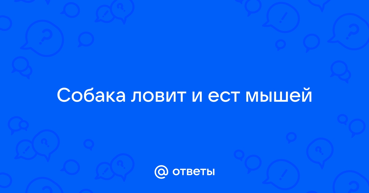  Mailru            