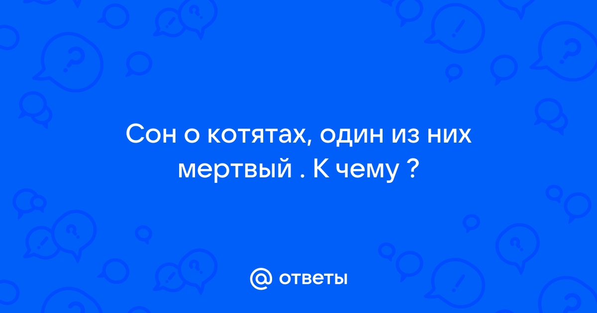 Приснился котята, к чему снится котята, узнать значение сна …