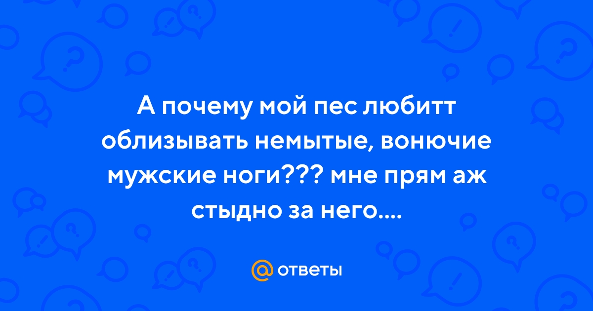 Понимают ли домашние питомцы приближение своей смерти - altaifish.ru