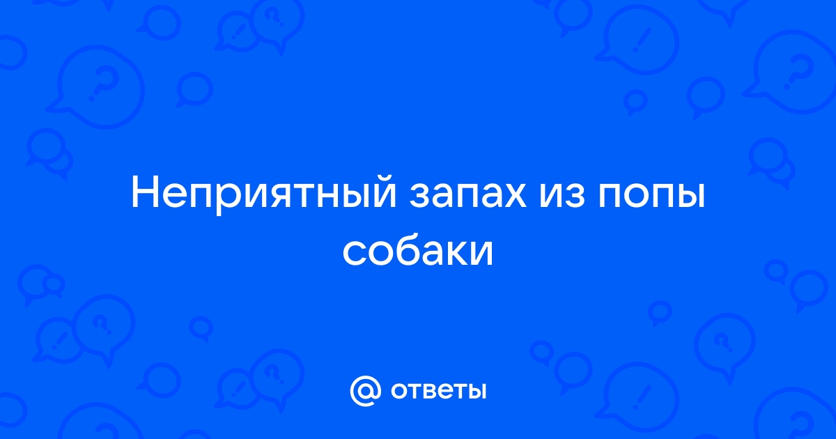 5 причин для беспокойства, если от вашей собаки пахнет рыбой