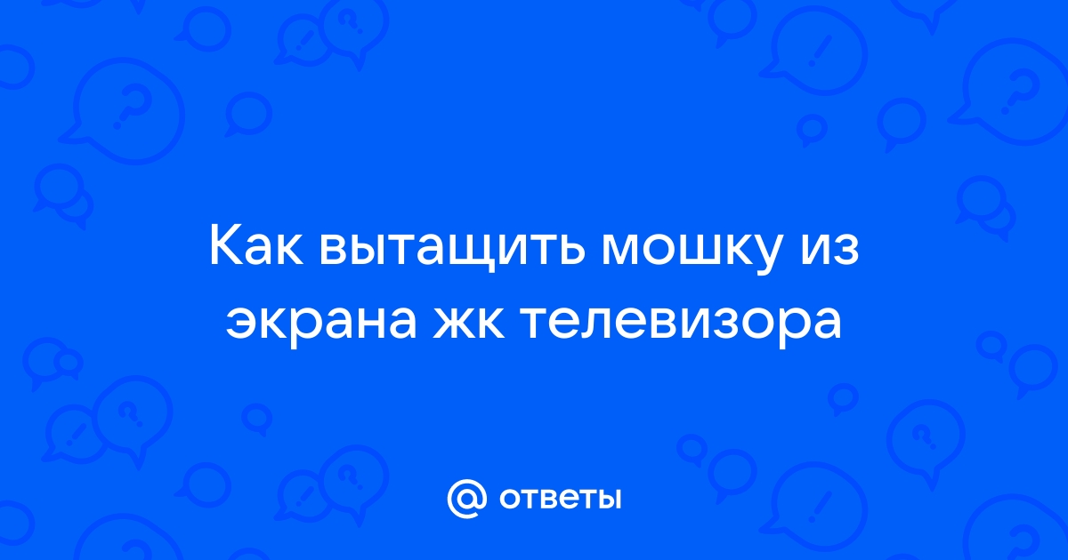 Зачем мошки летят на монитор