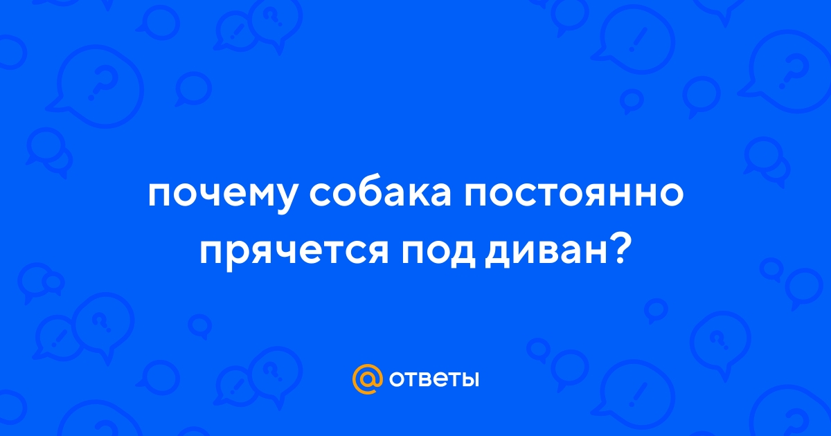 Щенок прячется под диван