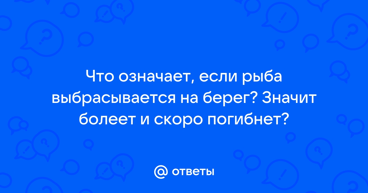 Сельдь массово выбросилась на берег на Сахалине. В этом увидели хороший знак