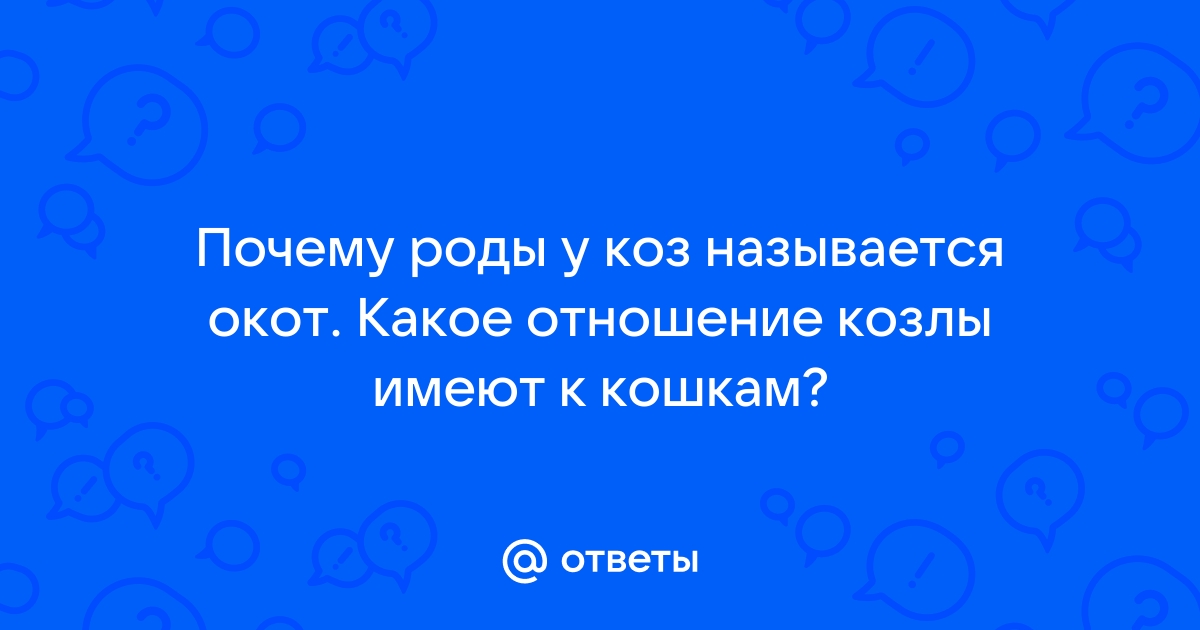 Роды у козы как называются