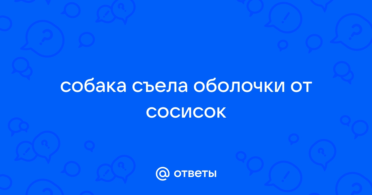 Собака съела пакет: что делать?