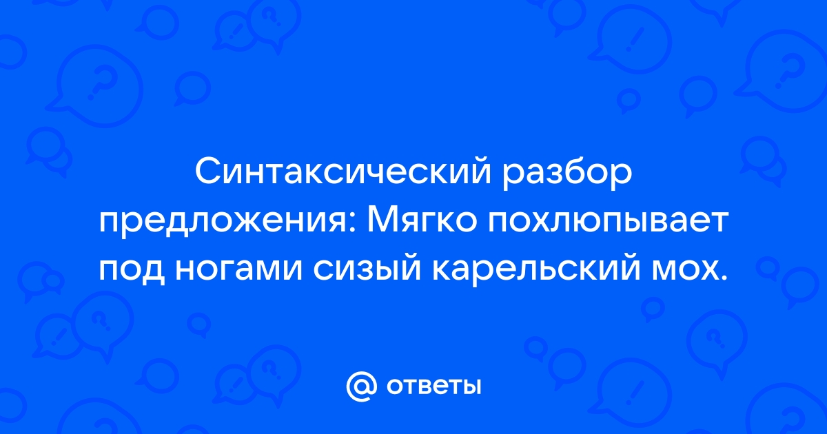 Подготовка в ВПР по русскому языку. Языковые разборы