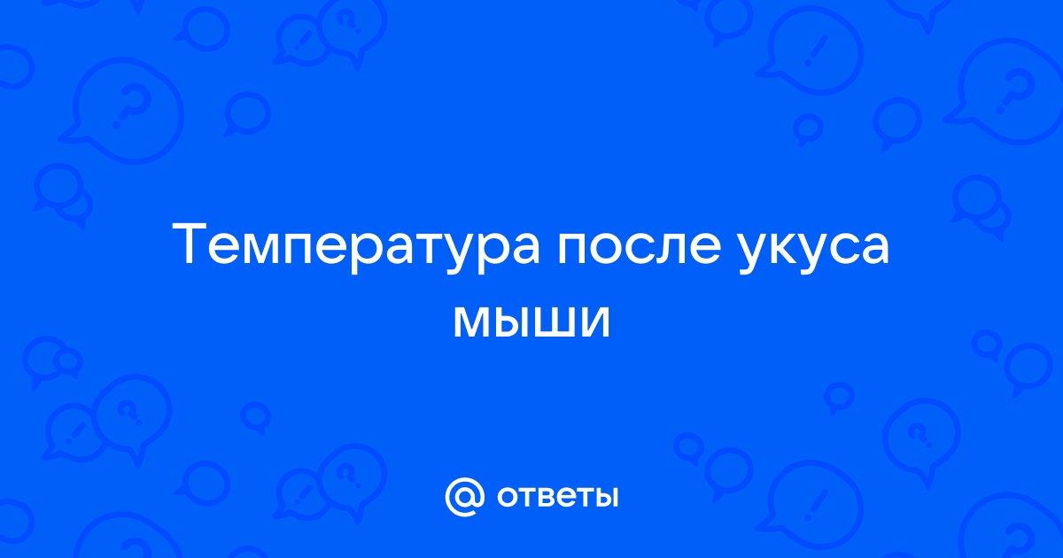 Грызуны в доме: чем они опасны? Отвечает эксперт