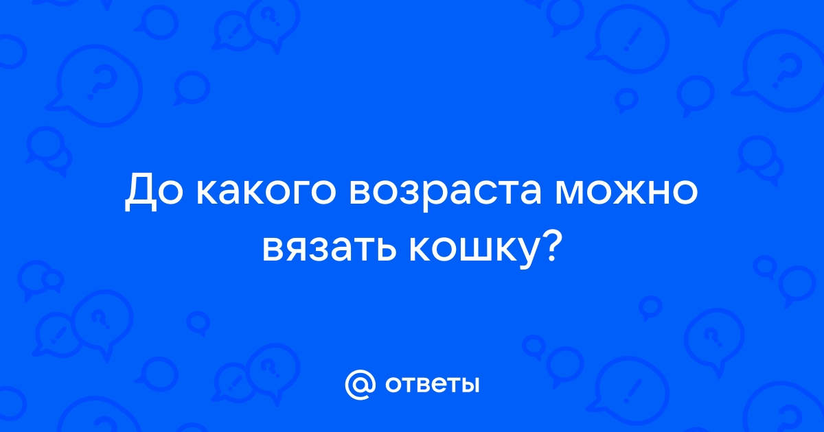 Беременность кошки: советы ветврачей по уходу