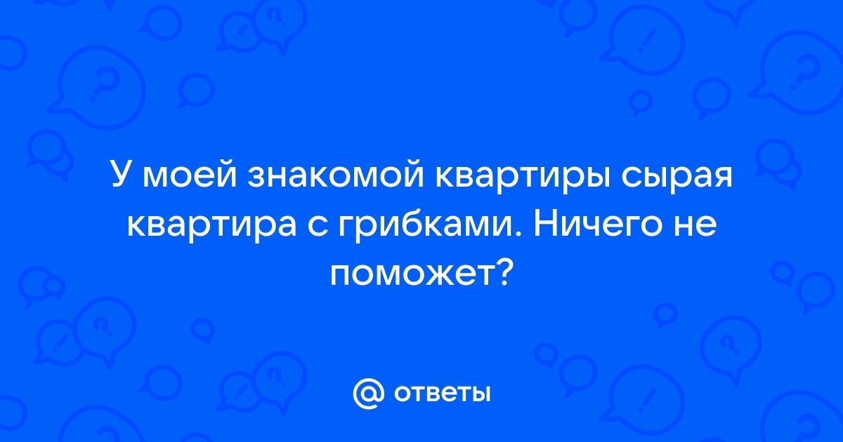 Почему сыреют стены в доме и как это исправить