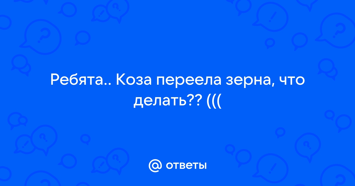 Капуста овцам: можно ли давать и в каком количестве, симптомы несварения у скота