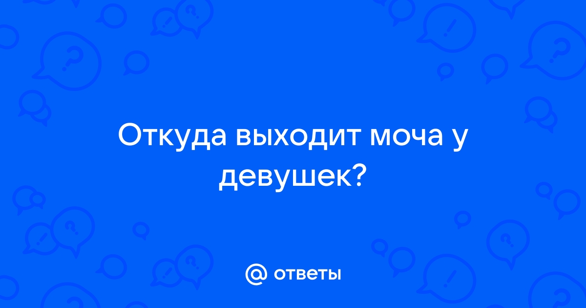 Откуда они вышли