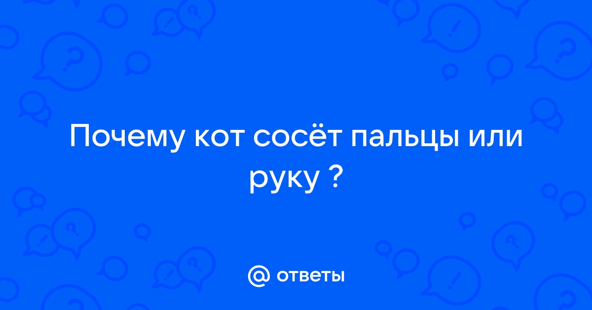 Кошка чуствует во мне мать или проблема серьезнее? - Поведенческая ветеринария - Ветеринарный форум