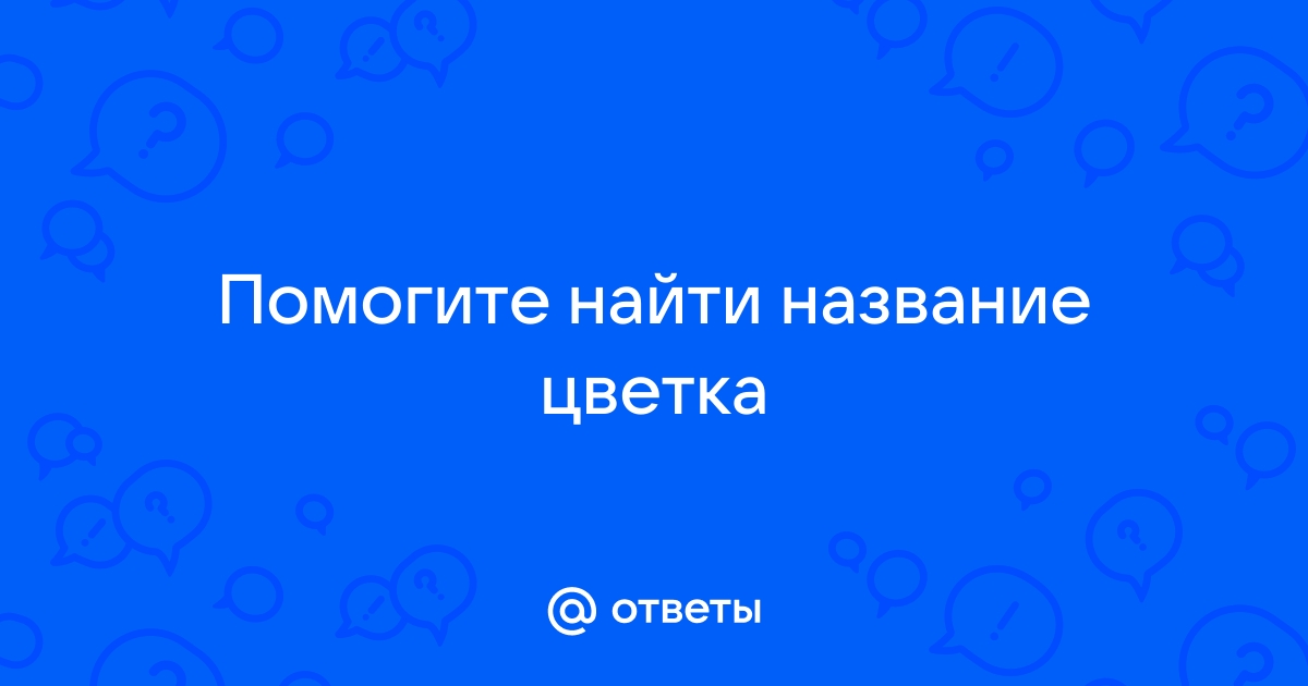 Найти название цветка по фото онлайн бесплатно с телефона