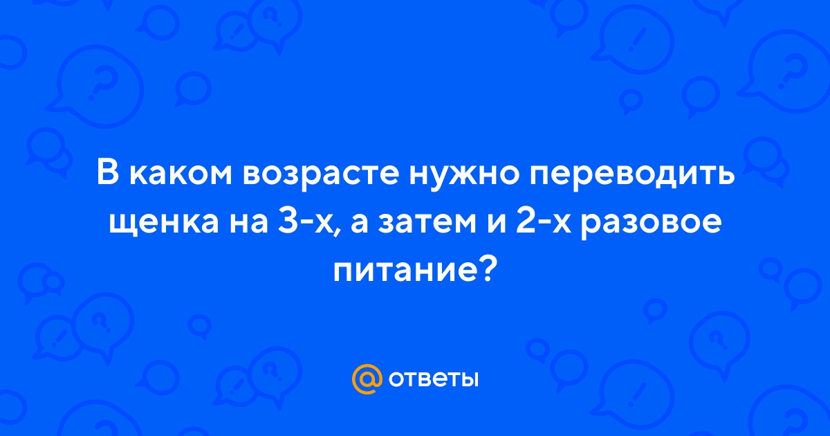 Ответы Mail.ru: В каком возрасте нужно переводить щенка на 3-х, а затем и  2-х разовое питание?
