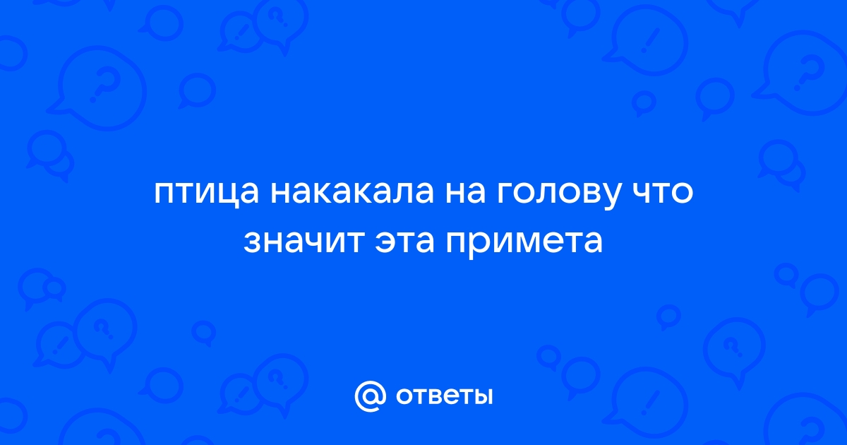 Птица «пометила»: что на самом деле означает эта примета