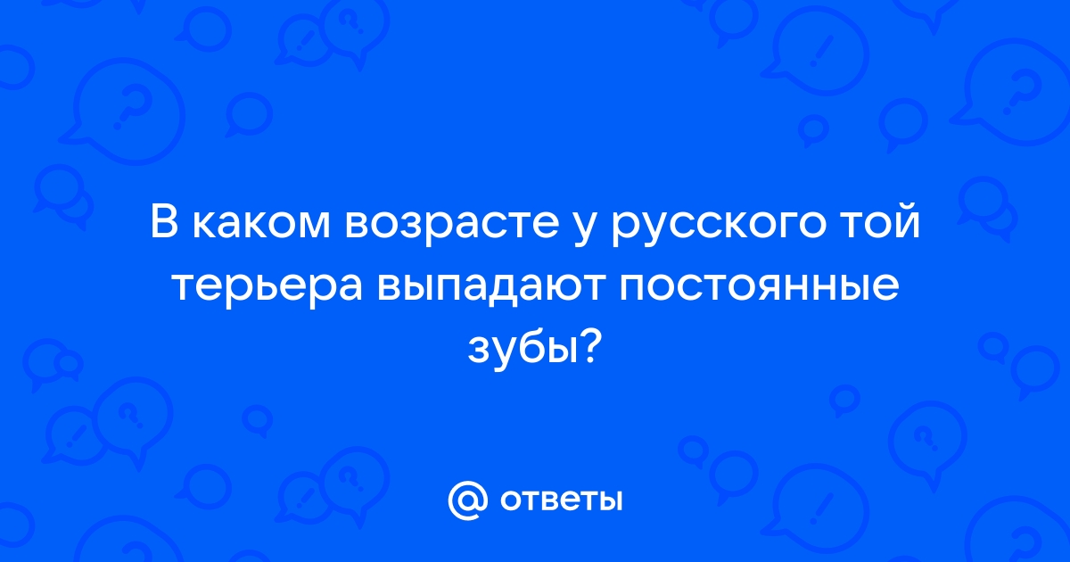 Что делать если у собаки шатаются и выпадают зубы