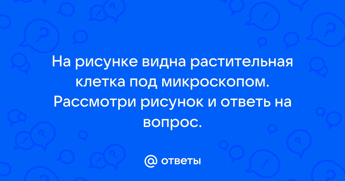 Рассмотри рисунок и ответь на вопрос сколько рублей надо заплатить за покупку